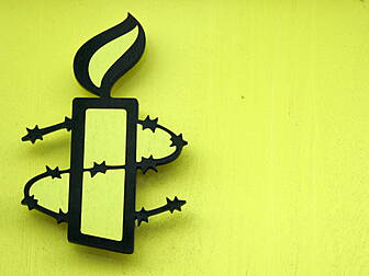 Amnesty Vote Down Motion To Re...